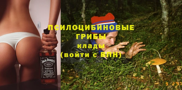 соль курить ск Кукмор
