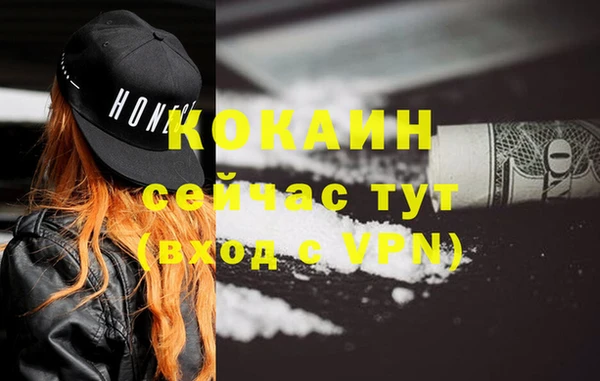винт Ладушкин