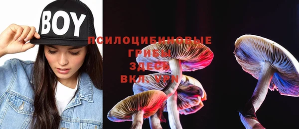прущие крисы Лабытнанги