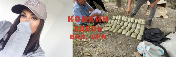 винт Ладушкин