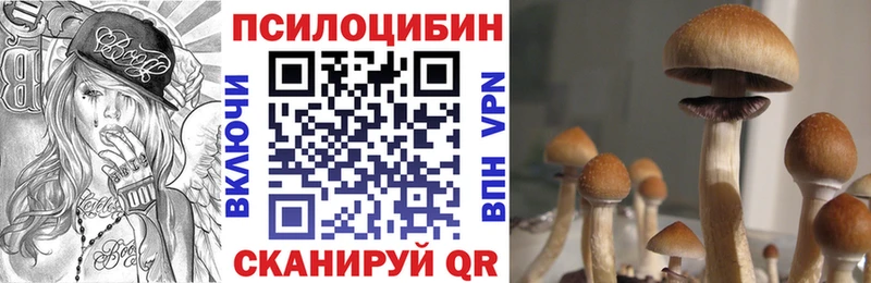 Галлюциногенные грибы ЛСД  Шилка 